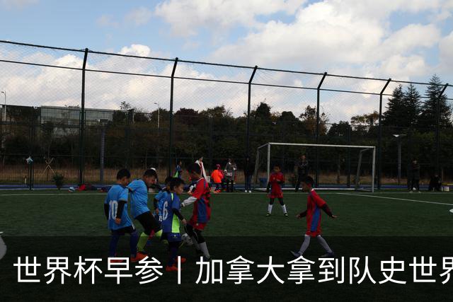 世界杯早参丨加拿大拿到队史世界杯首个积分 开幕式表演翻车大力神杯瘪了 加纳一球员涉嫌强奸被拒绝入境无缘首战